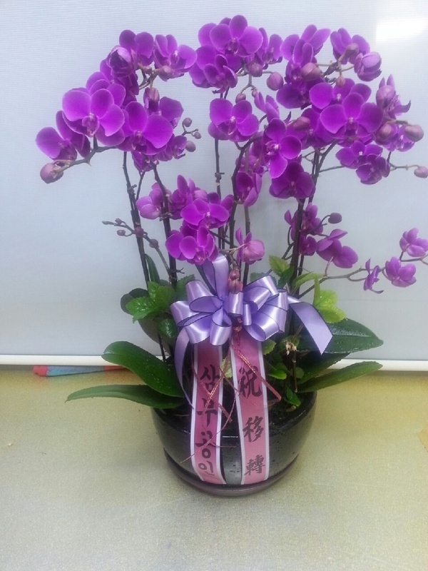 6��1��(�Ͽ���)