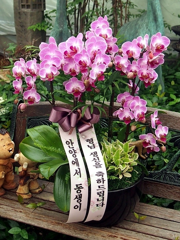 6��1��(�Ͽ���)