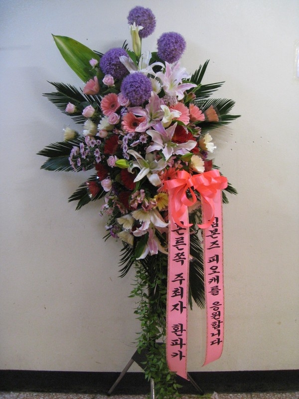 6��1��(�Ͽ���)