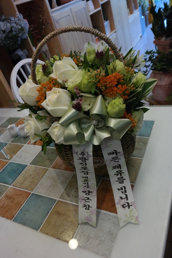 6��1��(�Ͽ���)