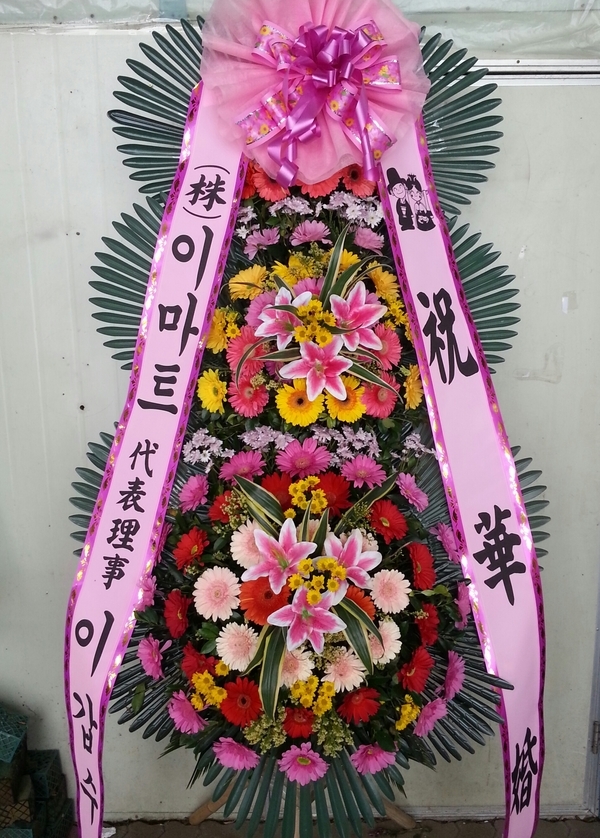 6��1��(�Ͽ���)