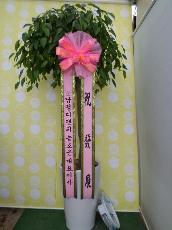 6��1��(�Ͽ���)