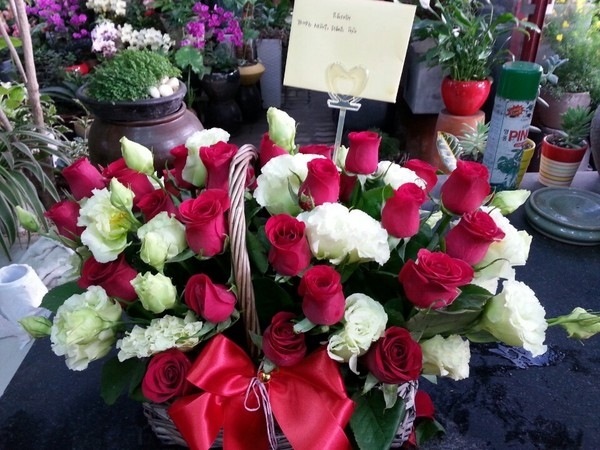 6��13��(�ݿ���)