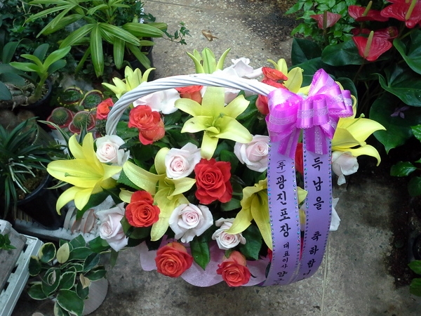 6��13��(�ݿ���)