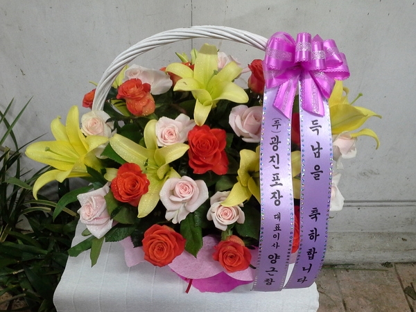 6��13��(�ݿ���)