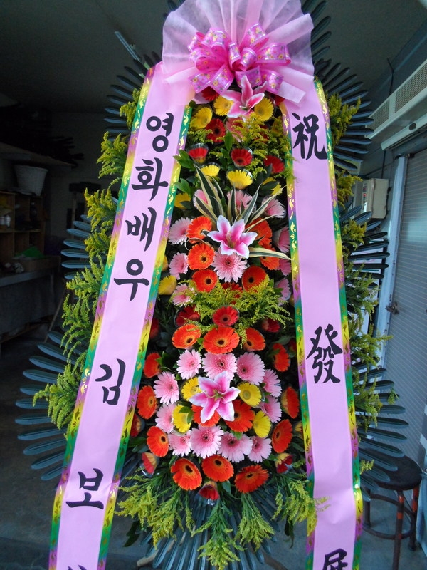 6��13��(�ݿ���)