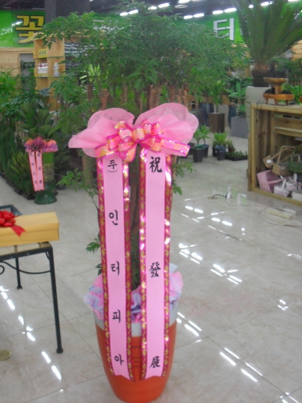 6��13��(�ݿ���)