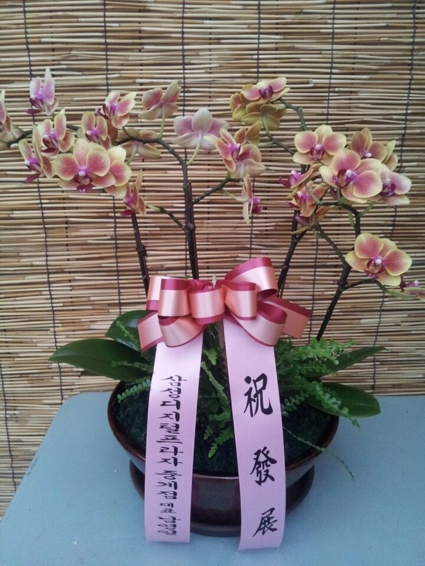 6��13��(�ݿ���)