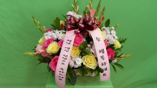 6��13��(�ݿ���)