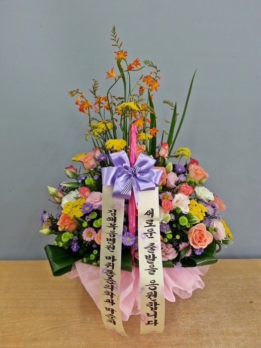 6��13��(�ݿ���)