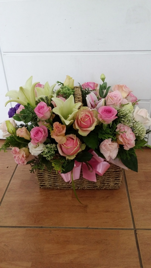 6��13��(�ݿ���)