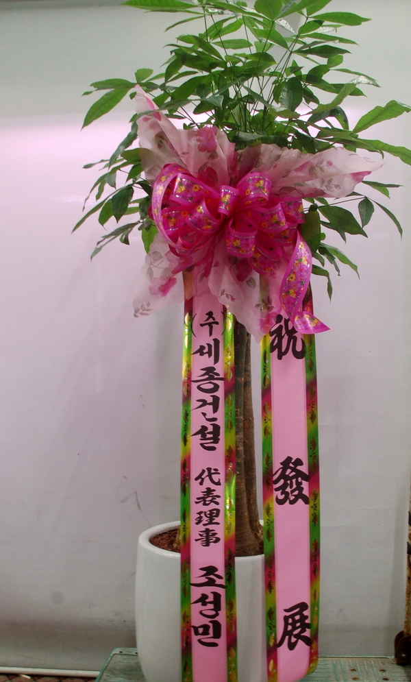 6��13��(�ݿ���)