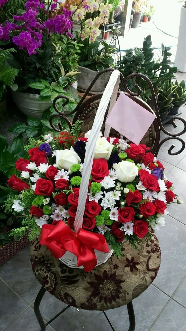 6��13��(�ݿ���)