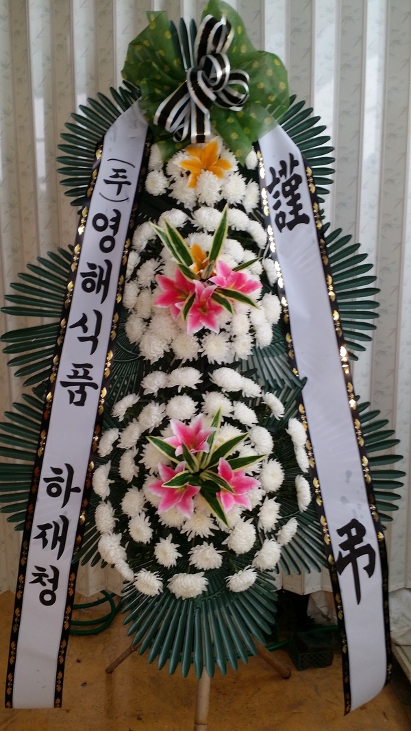 6��13��(�ݿ���)