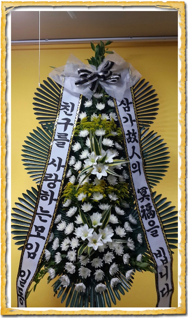 6��17��(ȭ����)