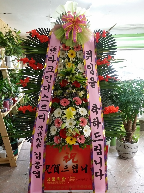 6��17��(ȭ����)