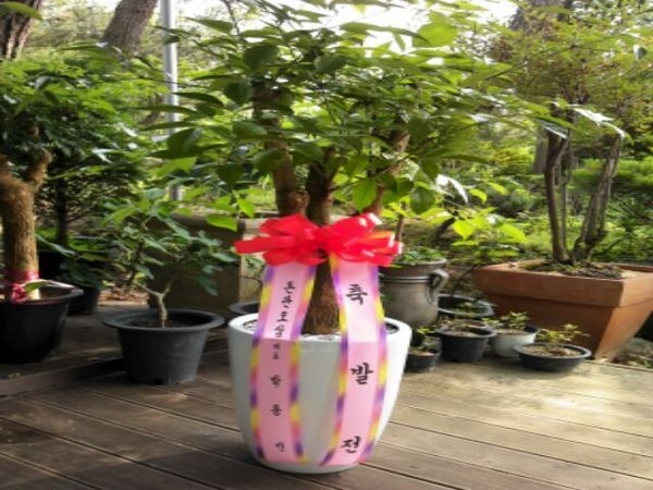 6��17��(ȭ����)