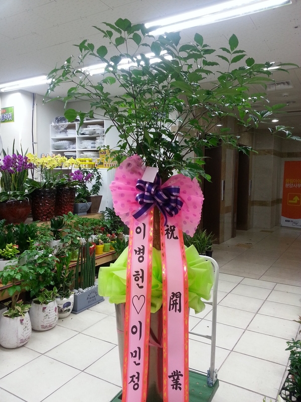 6��17��(ȭ����)