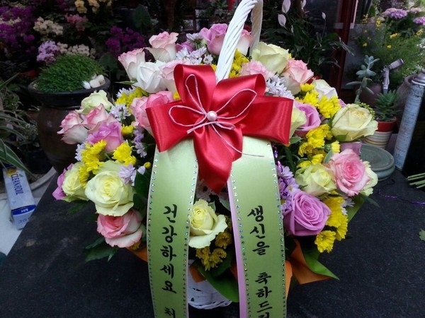 6��17��(ȭ����)