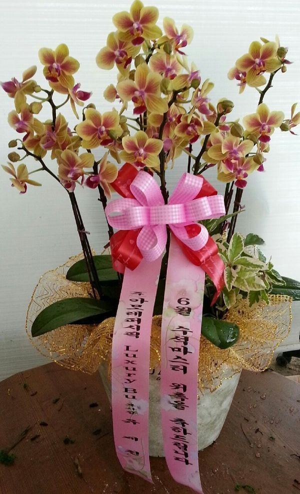 6��17��(ȭ����)