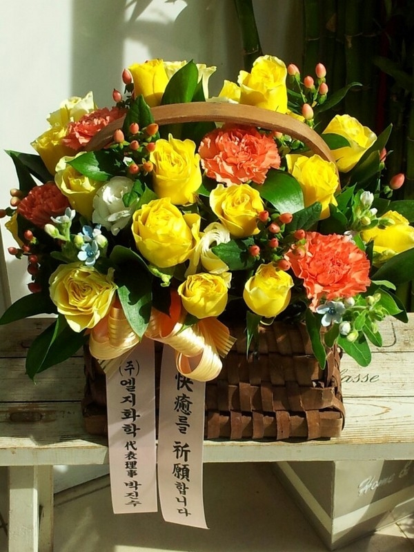 6��17��(ȭ����)