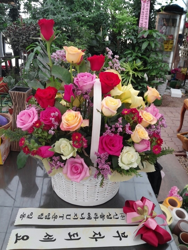 6��17��(ȭ����)