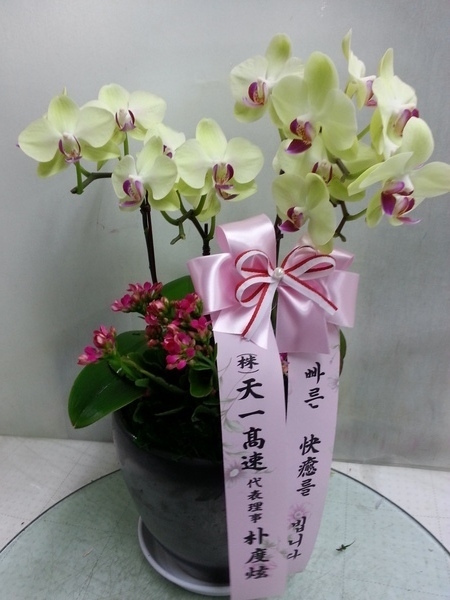 6��17��(ȭ����)