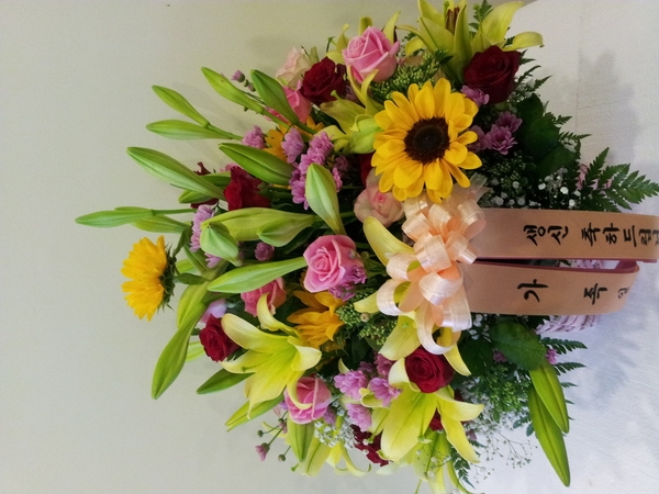 6��17��(ȭ����)