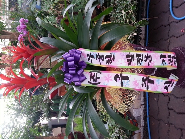 7��1��(ȭ����)