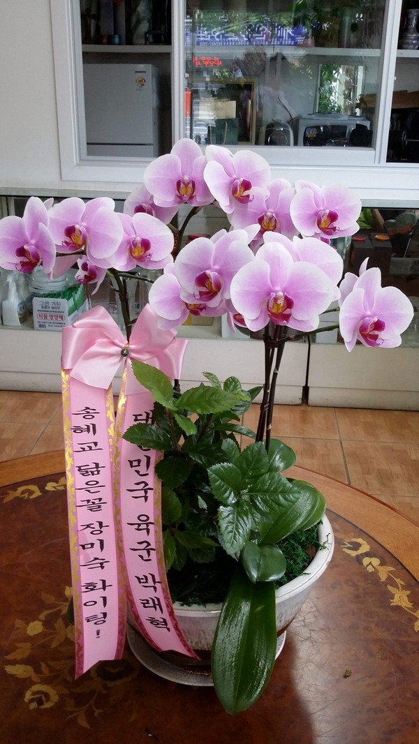 7��1��(ȭ����)