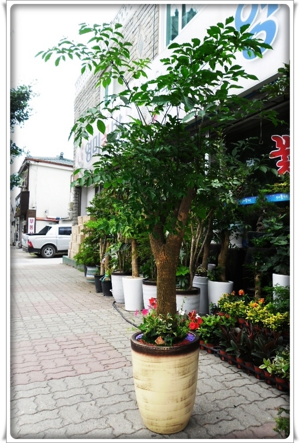 7��1��(ȭ����)