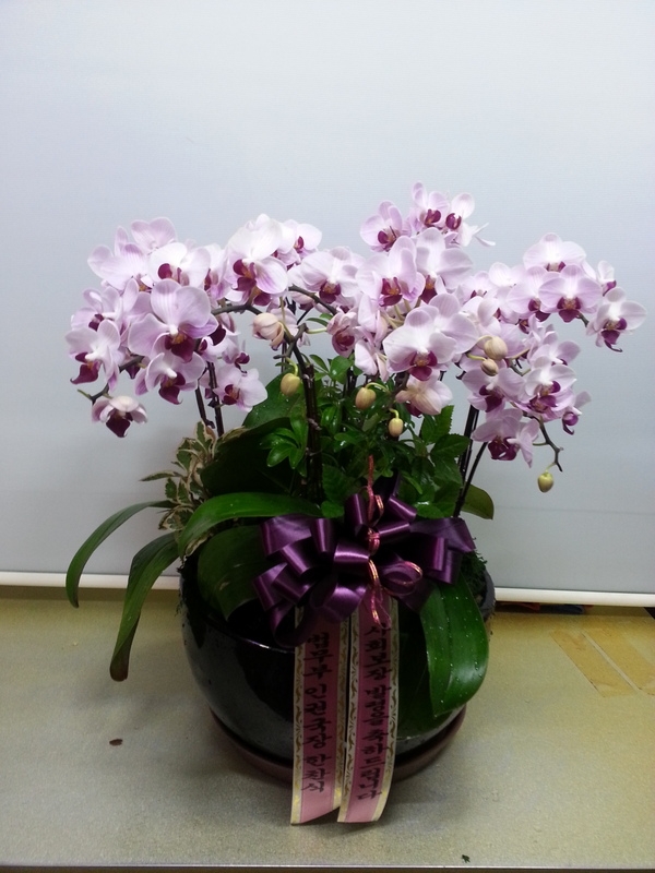 7��7��(������)