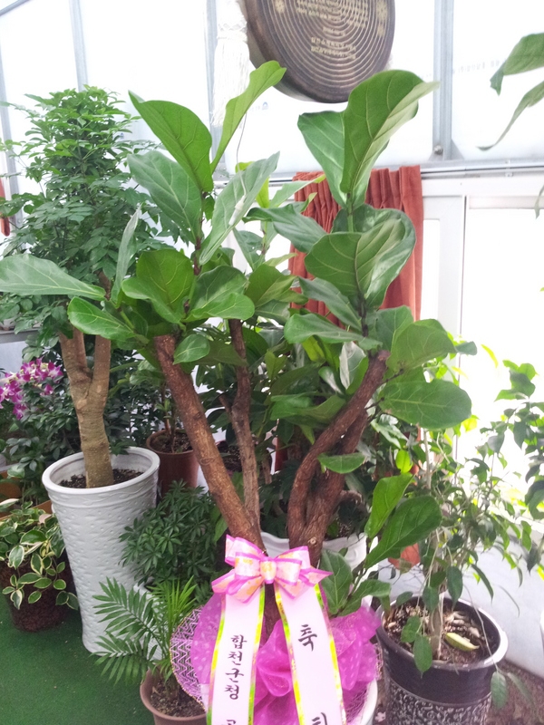 7��7��(������)