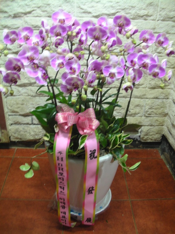 7��7��(������)