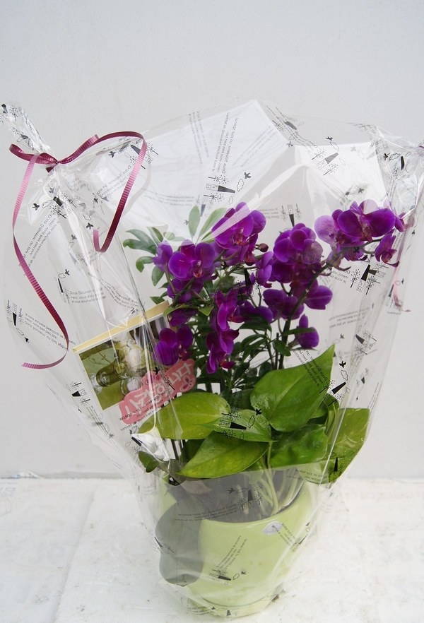 7��7��(������)