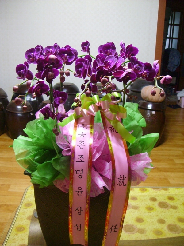 7��7��(������)