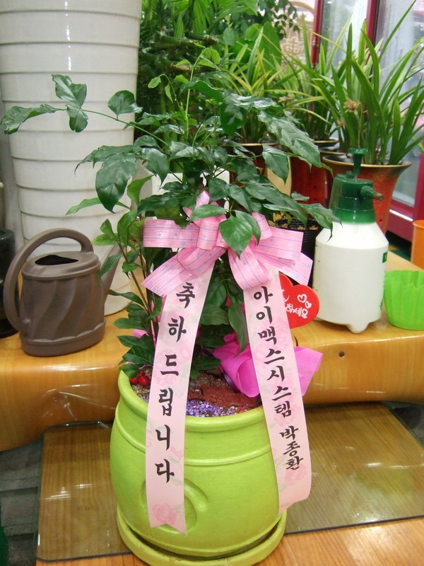 7��7��(������)