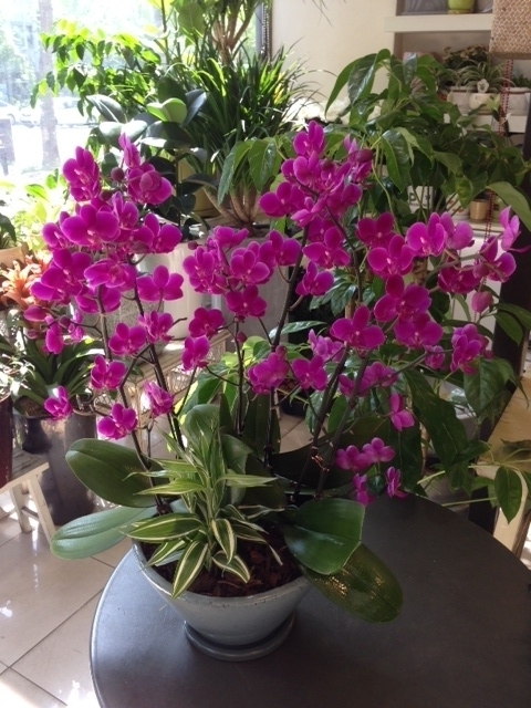 7��7��(������)