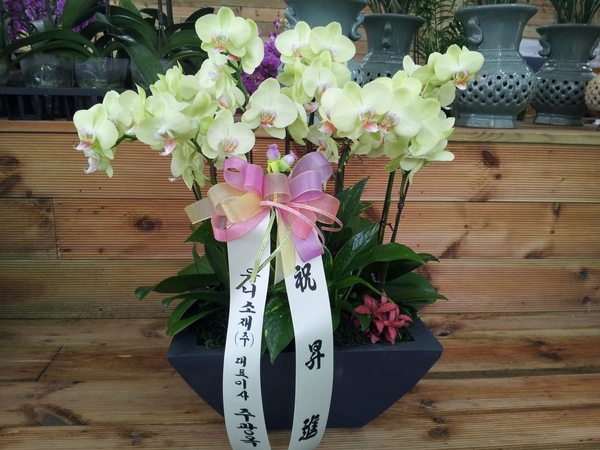 7��7��(������)