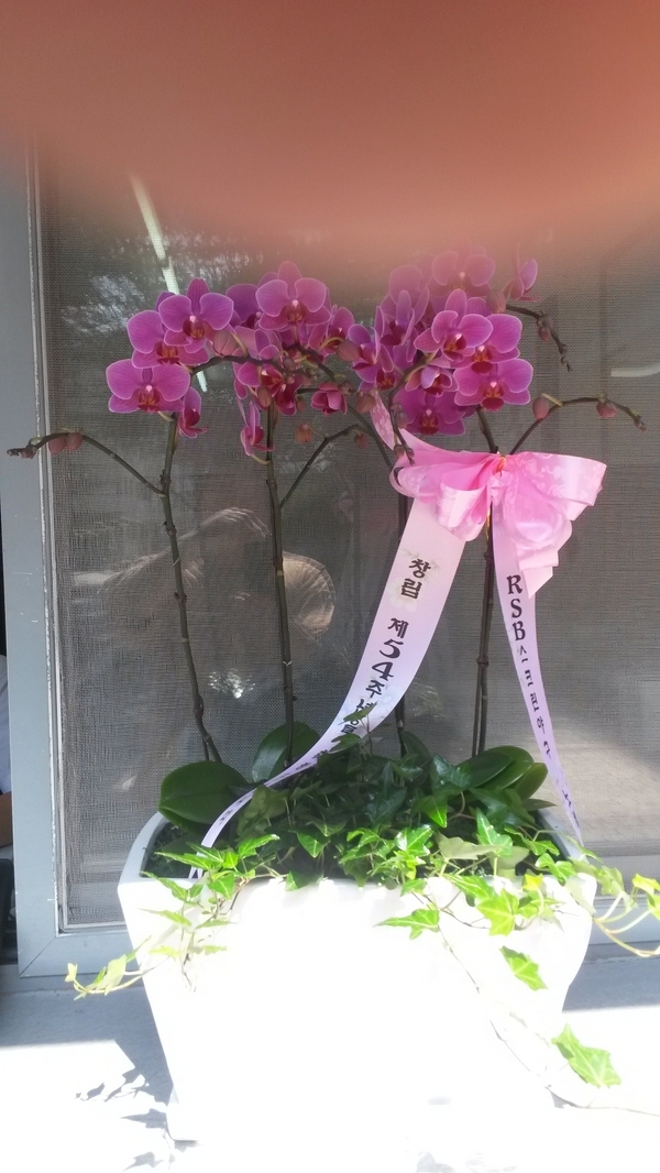 7��7��(������)