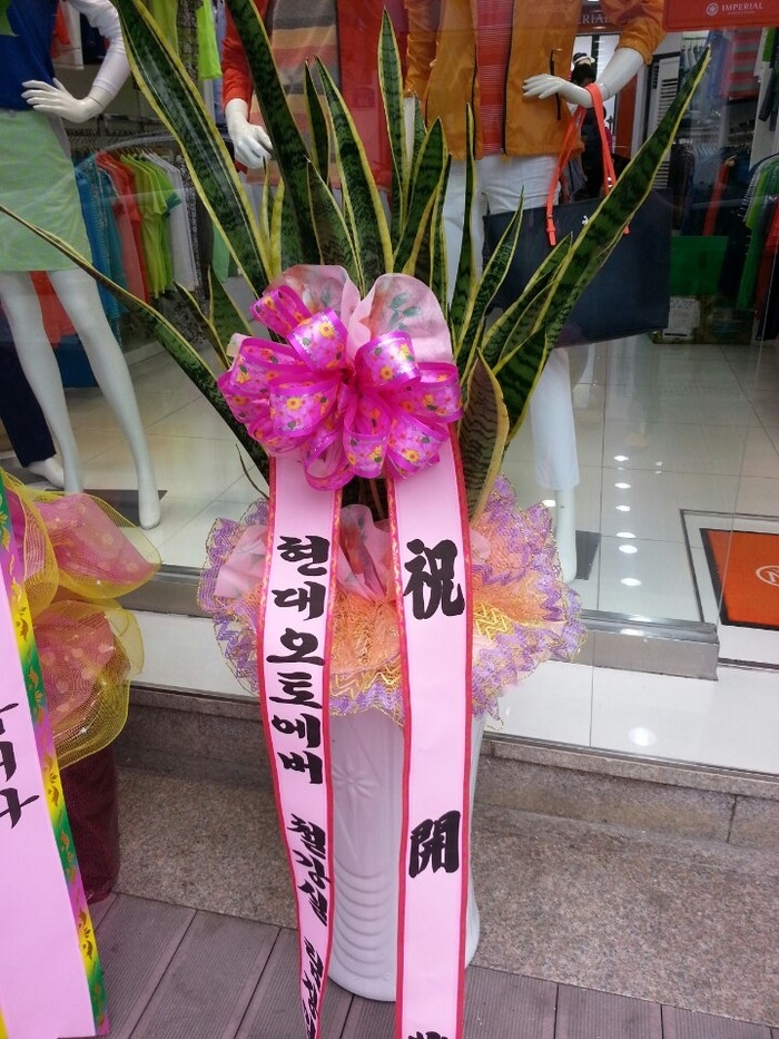 7��26��(�����)