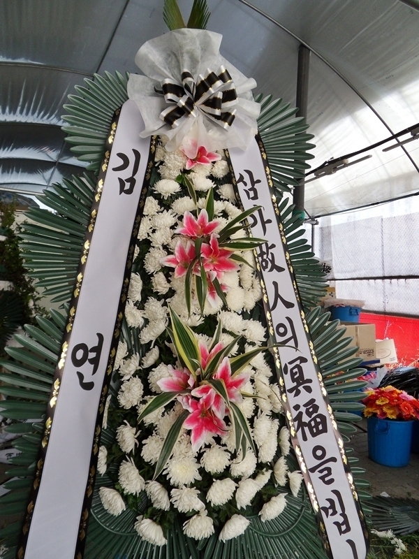 7��26��(�����)