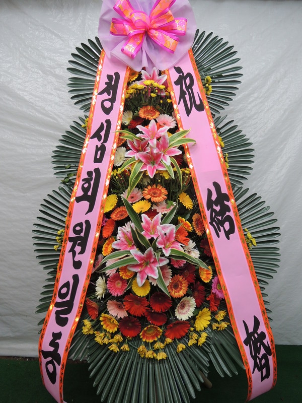 7��26��(�����)