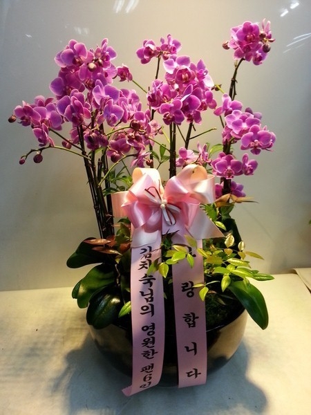 7��26��(�����)