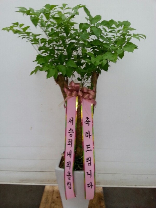 7��26��(�����)