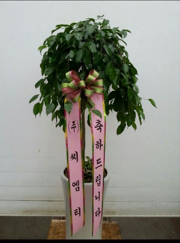 7��26��(�����)