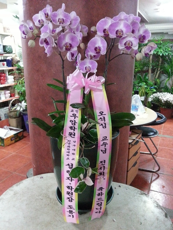 7��26��(�����)