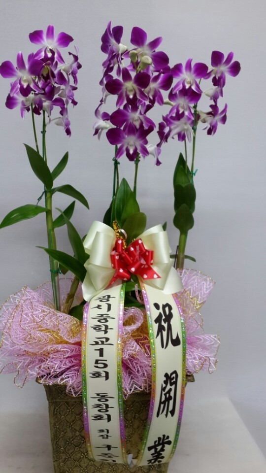 7��26��(�����)