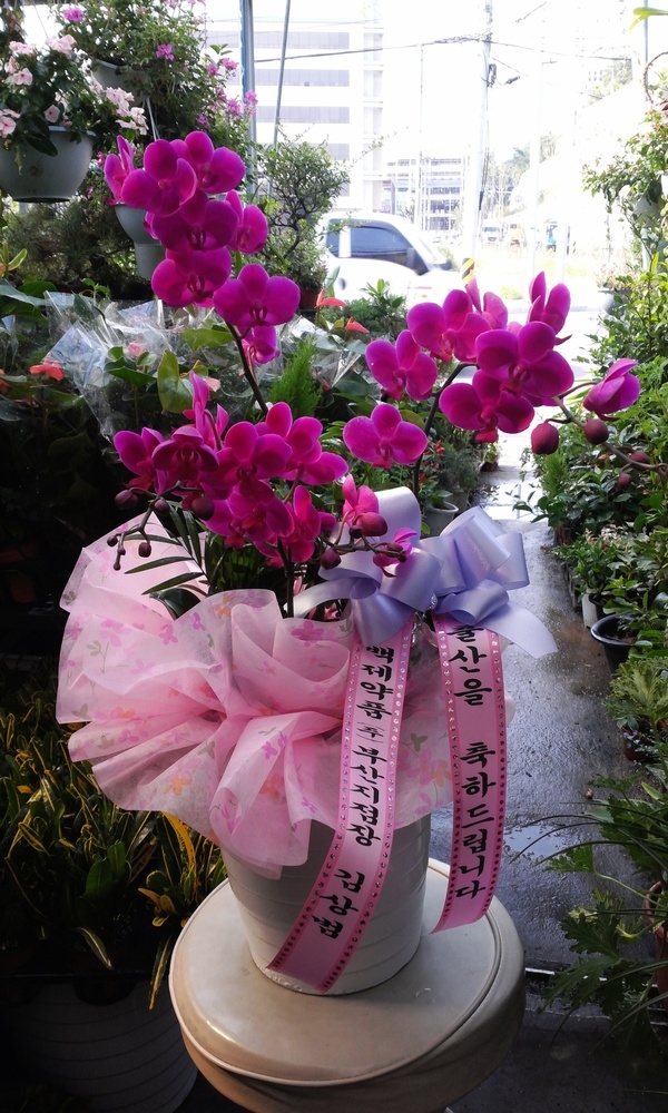 7��31��(�����)