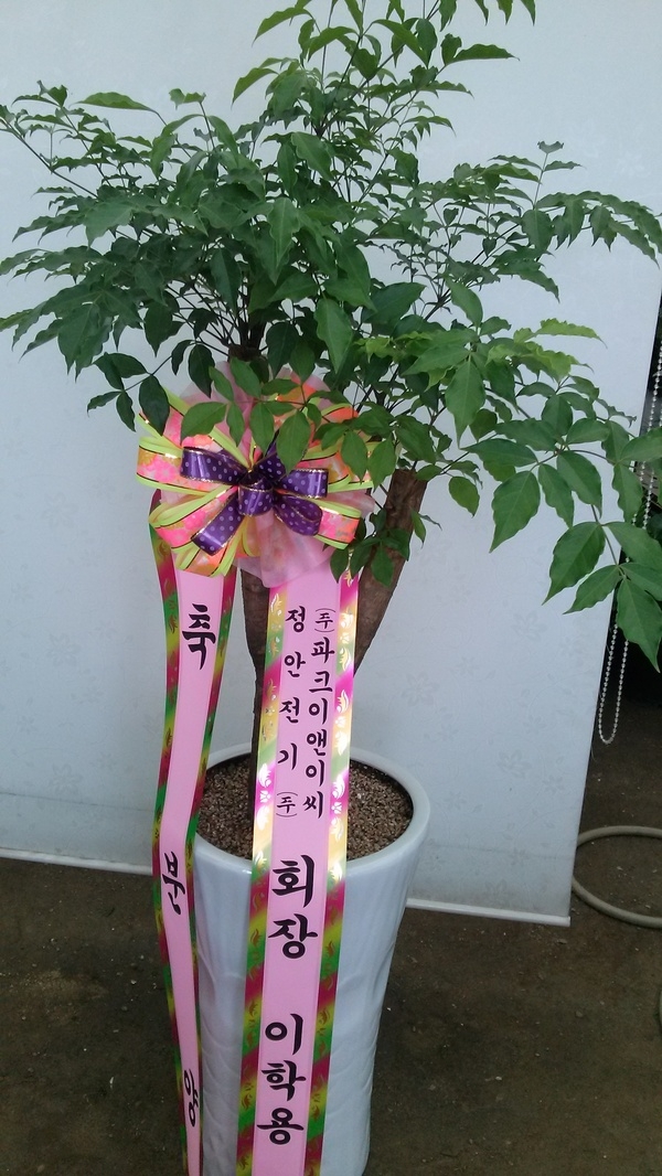 7��31��(�����)